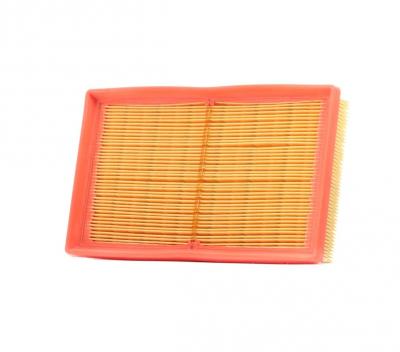 MANN FILTER MANN-FILTER Filtre &agrave; Air C 2448 &ndash; Pour v&eacute;hicule particulier
