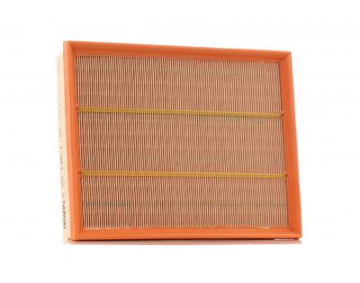 MANN FILTER MANN-FILTER Filtre &agrave; Air C 29 198/1 &ndash; Pour v&eacute;hicule particulier