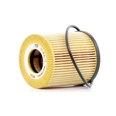 MANN FILTER Filtre a  huile MANN-FILTER HU 816/2 x (X1)