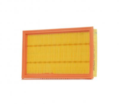 PURFLUX Filtre a  air  A838 (X1)