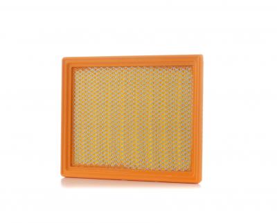PURFLUX  A364 filtre &agrave; air moteur