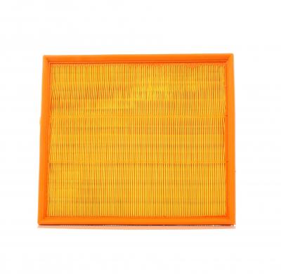 PURFLUX  A1029 filtre &agrave; air moteur