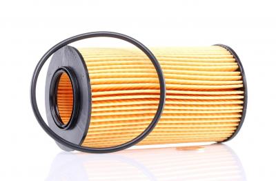 PURFLUX Filtre a  huile  L307 (X1)