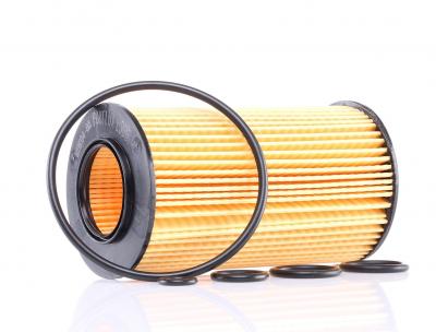 PURFLUX Filtre a  huile  L305 (X1)