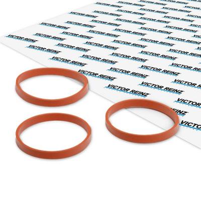 REINZ Jeu de joints d'&eacute;tanch&eacute;it&eacute;, collecteur d'admission  11-11551-01