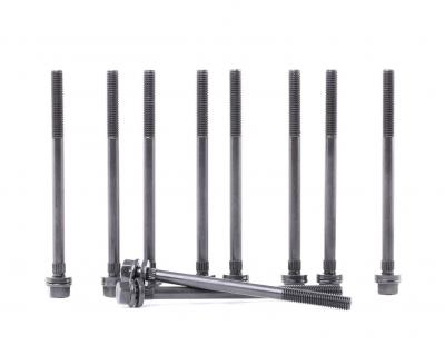 REINZ  Boulon / vis de culasse de cylindre 14-32241-01 MINI MINI