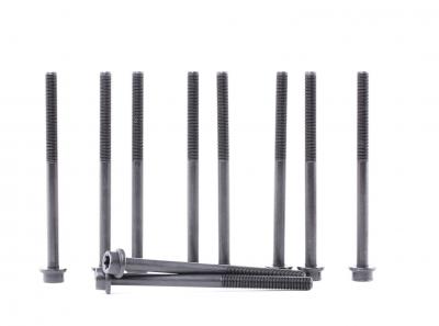 REINZ  Boulon / vis de culasse de cylindre 14-32207-01