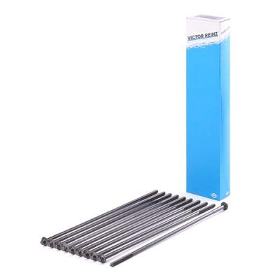 REINZ  Boulon / vis de culasse de cylindre 14-32100-01