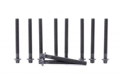 REINZ  Boulon / vis de culasse de cylindre 14-32154-01 RENAULT CLIO