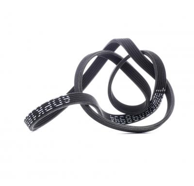 RIDEX  Courroie Poly-V 305P0209 pour V70 II (285) 1853mm