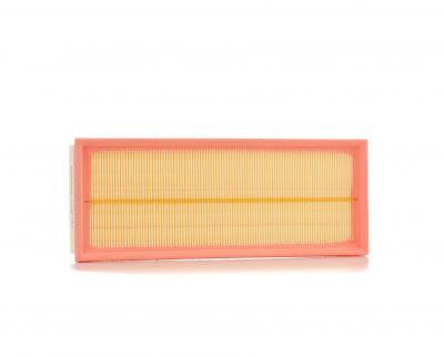 RIDEX Filtre a  air  8A0004 (X1)