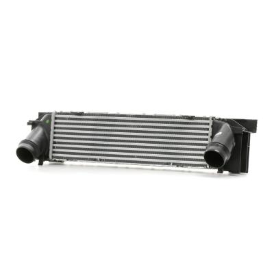 RIDEX  Intercooler BMW 468I0085 17517600530,7600530,4881356 Echangeur Air Air,Echangeur Air Eau,Intercooler, &eacute;changeur