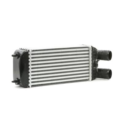 RIDEX  Intercooler 468I0135 Echangeur Air Air,Echangeur Air Eau OPEL,PEUGEOT,CITRO&Euml;N,Crossland X (P17),207 (WA_, WC_),208 I Schr&auml;gheck (CA_, CC_)