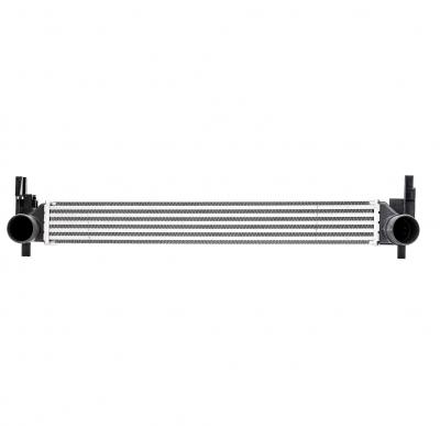 RIDEX  Intercooler 468I0041 pour Polo Schr&auml;gheck (6R1, 6C1)