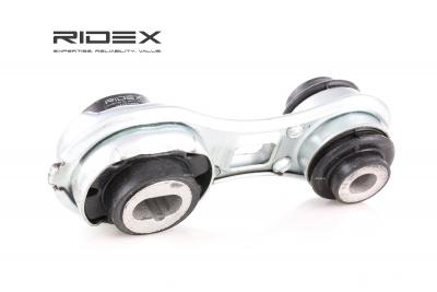 RIDEX  247E0069 Rangement Moteur