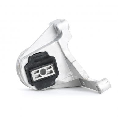 RIDEX Support moteur/boite/pont  247E0047 (X1)