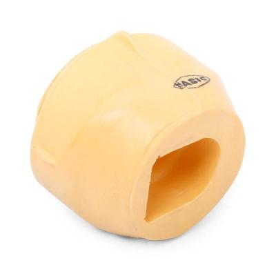 SASIC Support moteur/boite/pont  9001962 (X1)