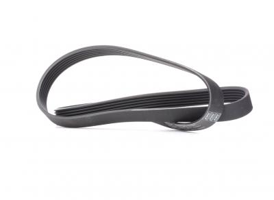 SKF  Courroie d'accessoire VKMV 6PK1244