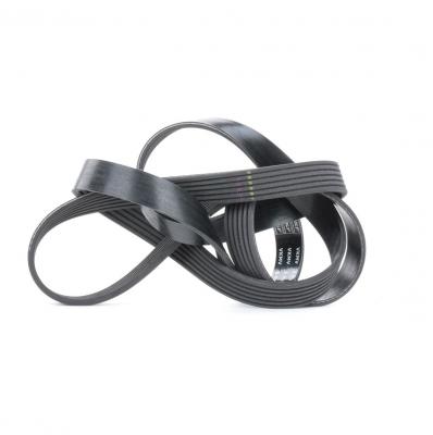 SKF Courroie trap&eacute;zo&iuml;dale &agrave; nervures  VKMV 6PK1670