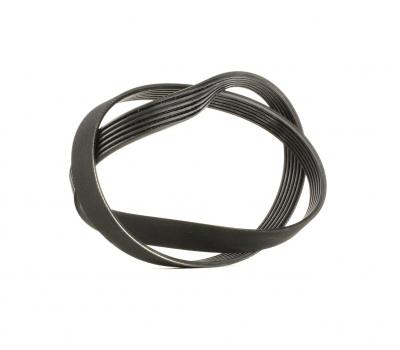 SKF Courroie trap&eacute;zo&iuml;dale &agrave; nervures (d'accessoires)  VKMV 6PK1076