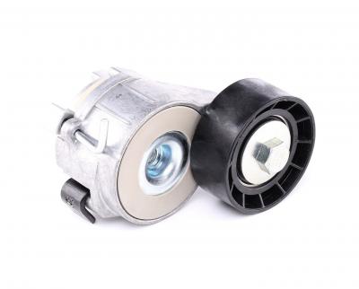 SKF Poulie-tendeur courroie trap&eacute;zo&iuml;dale &agrave; nervures VKM 33161 