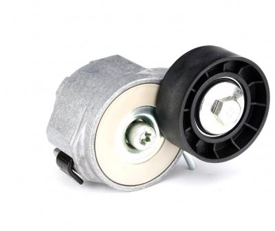 SKF Poulie-tendeur courroie trap&eacute;zo&iuml;dale &agrave; nervures VKM 32046 