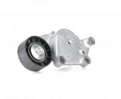 SNR  galet tendeur de courroie d'accessoire ga359.19