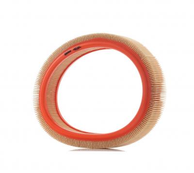 VALEO Filtre a  air  585607 (X1)