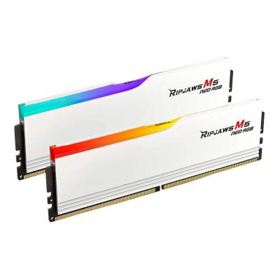 G.SKILL GSKILL Ripjaws M5 Neo RGB 32 Go (2 x 16 Go) DDR5 6000 MHz CL36
