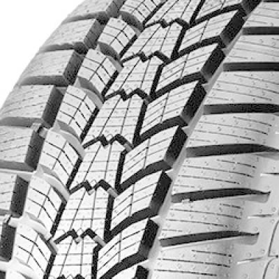 SAVA  Eskimo HP2 ( 205/60 R16 96H XL )
