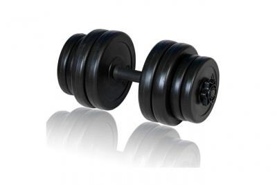 VIDAXL  1 X Halt&egrave;re 15 Kg