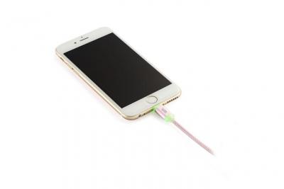 WE  Connect  C&acirc;ble USB/Lightning en nylon 1 m Or rose