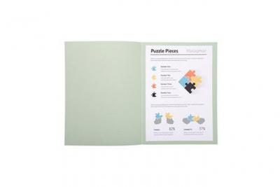 EXACOMPTA  Paquet De 100 Chemises Jura 250 En Carte 240 Grammes Gris