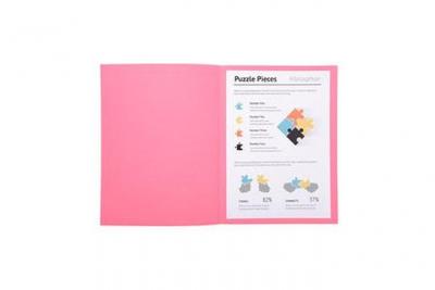 EXACOMPTA  Paquet De 100 Chemises Jura 250 En Carte 240 Grammes Rose