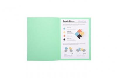 EXACOMPTA  Paquet De 100 Chemises Jura 250 En Carte 240 Grammes Vert Clair