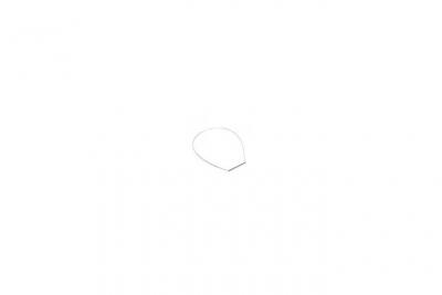 FAGOR Collier fixation joint hublot pour lave linge  - 7867039