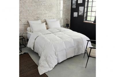 DUNLOPILLO Couette Premium Naturelle Temp&eacute;r&eacute;e - 30% duvet 240x260 cm - 