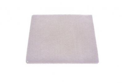 ELECTROLUX Filtre moteur ULTRAONE d'origine Aspirateur 1181374032 