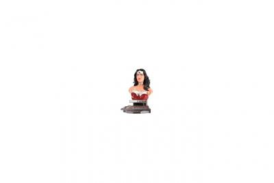 HAPPY WELL  - DC Universe puzzle 3D Wonder Woman Solid