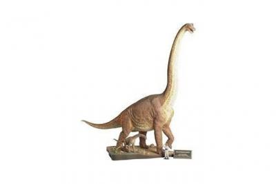 TAMIYA Maquette de dinosaure  300060106 Brachiosaure 1:35 