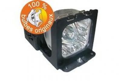 GO LAMPS - Lampe de projecteur (&eacute;quivalent &agrave; : POA-LMP109) - NSH - 330 Watt - 2000 heure(s) - pour Sanyo PLC-XF47 