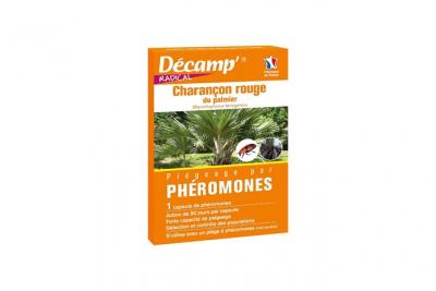 DECAMP Ph&eacute;romone contre le charan&ccedil;on rouge du palmier (1 capsule)