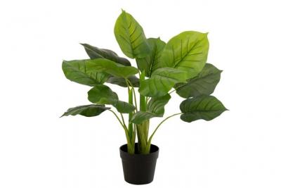 Plante Artificielle en Pot Pothos 55cm Vert