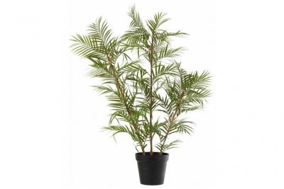 Palmier en pot plastique vert/noir large - J-line - Vert - Plastique