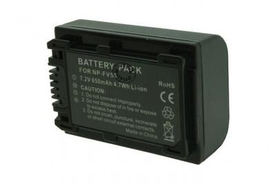 OTECH Batterie pour SONY DCR-SX22