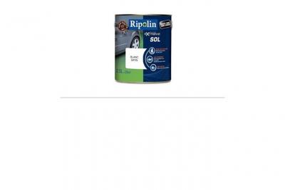 RIPOLIN  321450 Peinture