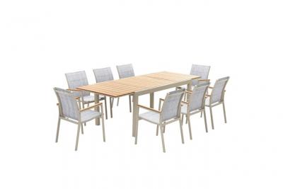 AVRIL PARIS Table de jardin extensible 8 personnes en aluminium gris