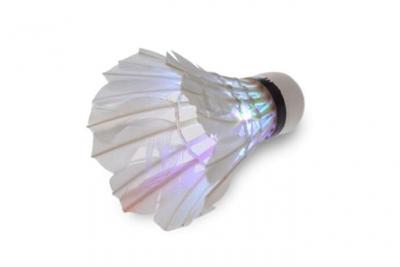 GENERIQUE Volant &agrave; plumes d'oie avec led pour badminton