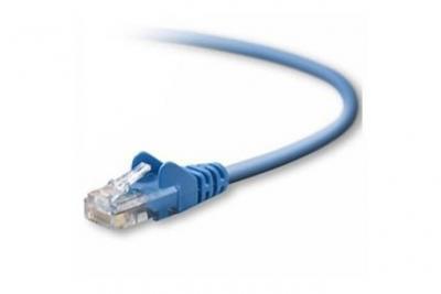 BELKIN C&acirc;ble ethernet RJ45 CAT5e U/UTP - Bleu - 1 m&egrave;tre - 