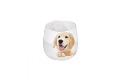 PARIS PRIX Bougie Anti-Odeurs Chien 8cm Blanc
